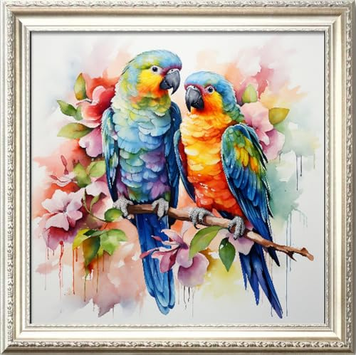 Kreuz Stickerei Kit 11ct 3 Stück - Vordruck Stickerei Leinwand Nadel Vollständige Reihe Erwachsene oder Kinder Anfänger Kit - Zwei Papageien 36x36cm