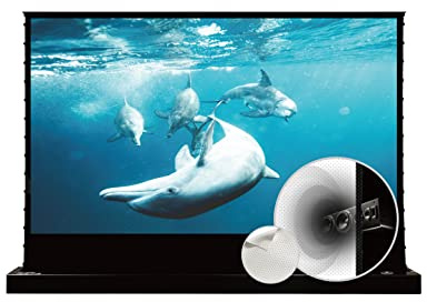 VIVIDSTORM-4K Movie Projector Screen S 100 Inch Sound Transparent Perforated Floor Rising White Fabric 4k HD Ready Home/Movie Theatre Work with Normal Throw Projector, VSDSTPW100H