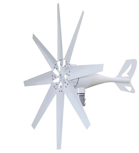 HUIZHITENGDA Effizientes Windturbinen-Generator-Set – 12 V/24 V/48 V Mit 8 Flügeln, Outdoor-Windmühlen-Stromerzeuger-Set Mit Laderegler Für Solarstromerzeugungssystem (8000 W),24v