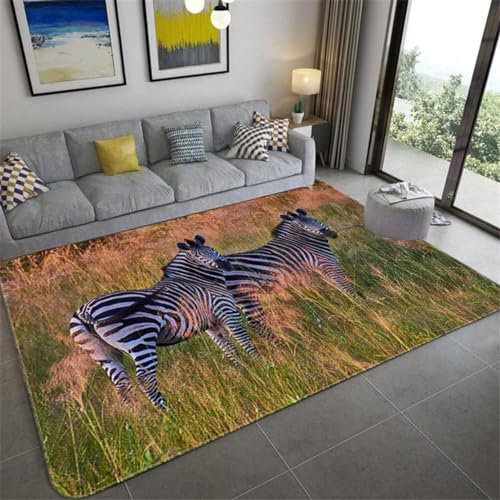 okoikfc Zebra Teppich 120 x 170 cm 3D Zebra Teppich Wohnzimmer, Teppiche für Kinderzimmer Schlafzimmer Deko Antirutschmatte Carpet Matte K179