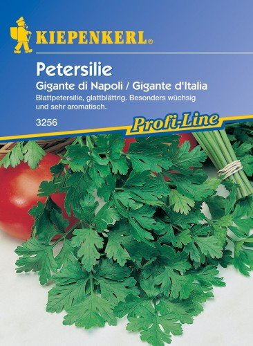 Sperli Gemüsesamen Petersilie Gigante di Napoli, grün