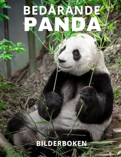 Bedårande Panda: Bilderbok om pandan för äldre och Alzheimerspatienter med demens (Bilder - Djur).