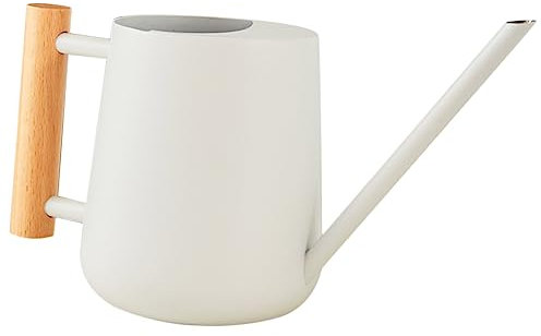 Toyvian arrosoir en INOX L'arrosage des Plantes Peut Usine à l'intérieur Buse Plantes d'intérieur arrosoir pour semis arrosoir d'intérieur arrosoirs Le Fer Blanche