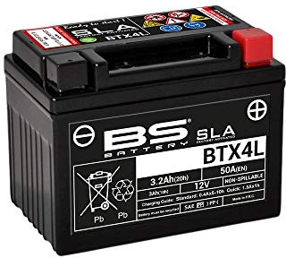 BS Battery 300669 BTX4L AGM SLA - Batería para moto, color negro