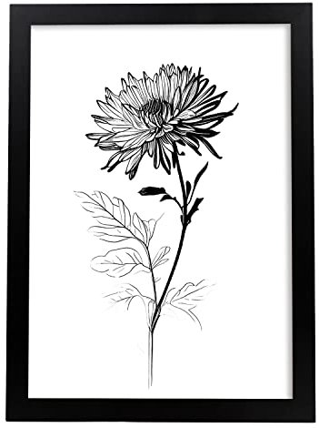 Nacnic Chrysanthemum Black & White Flower Plant Botanical Poster Illustration Nordic Wall Art Poster Prints for Interior Design and Decoration, Size A4