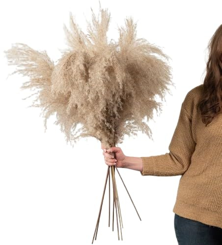 Plumeros Secos Set de Cinco Ramas Largas y Naturales para Estilo Boho-Chic