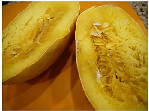 PREMIER SEEDS DIRECT Spaghetti Squash - 50 Seeds