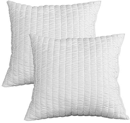 Evergreenweb- Coppia Cuscini in Memory Foam da Letto o Arredo Divano,100% Fiocco Morbida effetto Piuma Indeformabile Traspirante Antiacaro, 50x50 alti 12cm, bianco