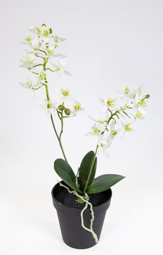 Seidenblumen Roß Künstliche Orchidee 38cm im Topf DP Blumen Pflanzen Kunstblumen Kunstpflanzen (Weiß)