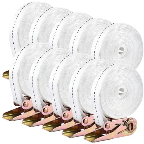 VIDETOL 10 cinghie con cricchetto, 6 m, 25 mm, cinghia di ancoraggio in poliestere, forza di trazione 800 kg, cinghia di serraggio a cricchetto, colore bianco