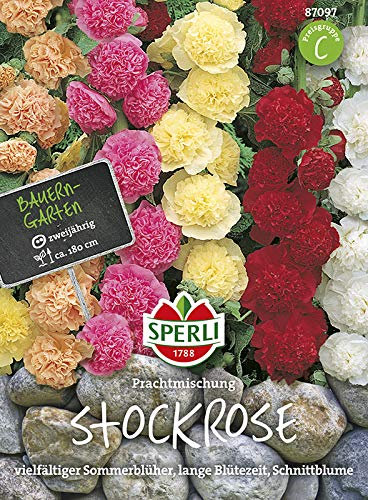 Stockrose, Prachtmischung gefüllt