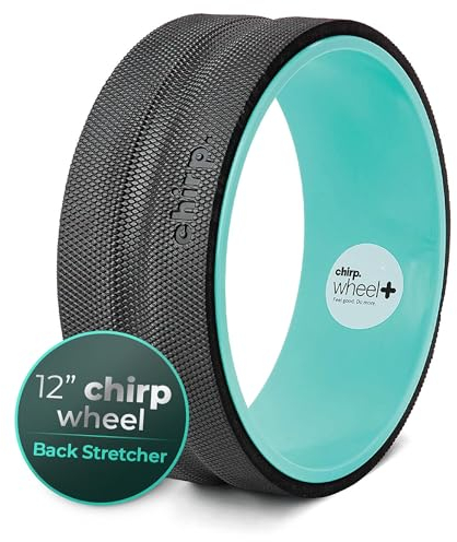 Chirp Rückenstrecker mit schweißresistenter Schaumstoffpolsterung, 30,5 cm sanfte Körperrolle, befriedigendes Rollrad, gezieltes Muskel-Yoga-Rad, PVC-freie Rollenräder,