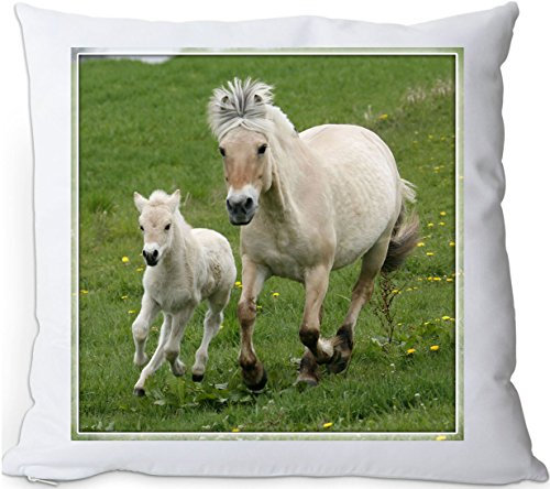 +++ FJORD Fjordpferd Norweger Pferd - Kuschelkissen/KISSEN | PILLOW/Dekokissen - FJO 42