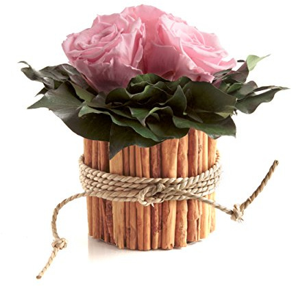 Infinity Rosenbox rund 3 echte rosa Rosen konserviert Vase Zimtstangen lange haltbar 3 Jahre (Rosa, 3 Rosen)
