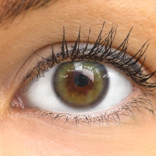 GLAMLENS Kontaktlinsen farbig 'Olive Green' ohne Stärke farbige grüne Monatslinsen weiche Linsen soft Hydrogel 2 Stück Farblinsen + Linsenbehälter 0.0 Dioptrien natürliche Serie Farben