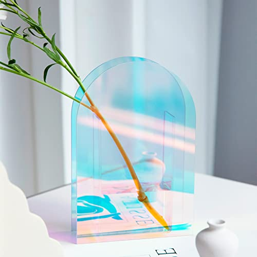 BEYLAB Acryl Vase Moderne Design Aesthetic Room Decor, Transparent Unzerbrechlich Retro Dekoration Acrylic Art Vase deko Schlafzimmer, Wohnzimmer Tisch büro - Bunt