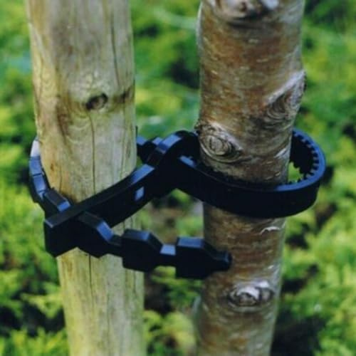 10PCS Tree Ties for Plant Support Adjustable Soft Rubber Straps 24cm Length
