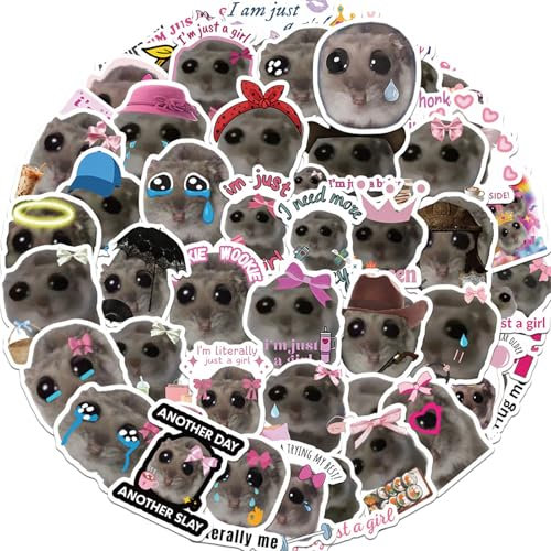 Zkydhbd Memes Aufkleber Pack Von 56 Stickers Scrapbook Stationery Decal Für Teenager Skateboardaufkleber Laptop Tablet