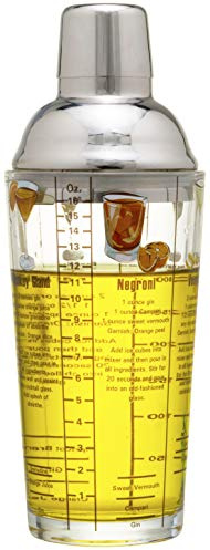 Stephanie Imports Recipe Glass Cocktail Shaker with Strainer Top with 6 Cocktail Drink Recipes Gin