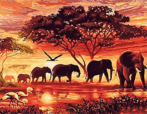 Pracht Creatives Hobby Diamond Painting Set, Bild mit Motiv Elefanten in der Savanne und Zubehör, Größe ca. 44 x 33 cm, Bastelset zum Malen mit Glitzersteinchen für Kinder ab 5 Jahren