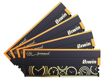 BIWIN Black Opal DW100 Mémoire RAM DDR5 RVB 192 Go (48 Go x 4) 6000 MHz CL28 pour plate-forme AMD Expo Noir