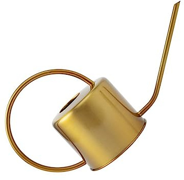 Milisten Bouilloire Arrosoir Long Bec Acier Inoxydable Arrosoir Pratique pour Plantes Intérieur Et Extérieur