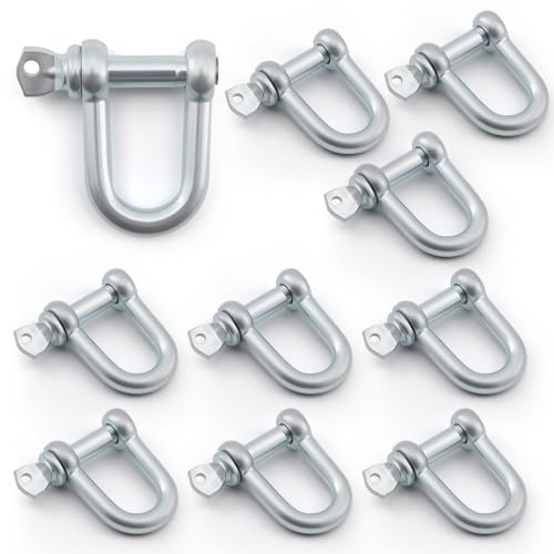 10PCS M8 D Shackle Heavy Duty, D Ring Shackle 304 Stainless Steel with Screw Pin, Rustproof Marine D Shackles for Ropes Chains Camping Lifting Hiking Accessories and Rope Chain Link