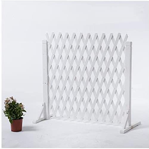 Recinzione da giardino in legno autoportante espandibile - Schermo per la privacy del balcone, struttura per arrampicarsi su piante con supporto per fiori (Bianco 160 * 80 cm)