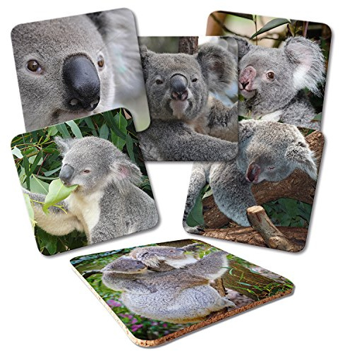 ADDIES Glas-Untersetzer 6-TLG.Set Bedruckt Motiv Koala Komplett-Set in hochwertiger Klarsicht-Geschenkbox und Korkrückseite