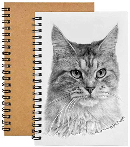 2pcs A5 Skizzenblock Spiral Notizbuch, 100 Seiten Skizzenbuch mit Spiralbindung, 120GSM Zeichenpapier Skizzenbuch, Kraft Cover Leerseite Zeichenpapier für Bleistift Aquarellstift Malerei