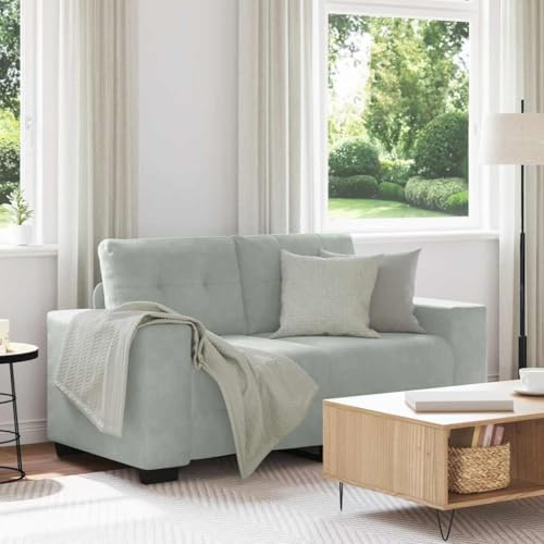 INLIFE Zweisitzer-Sofa Hellgrau 120 cm Samt,Möbel,Sofas,Grau,25.9 KG,4105110