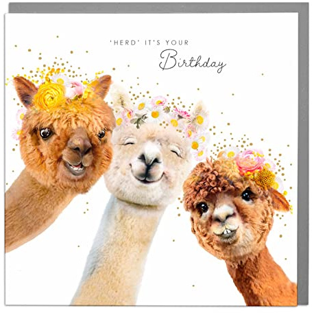 Lola Design – Geburtstagskarten für Frauen – Blanko-Karten und Umschläge – Heard its your birthday Alpaka – Happy Birthday Karte