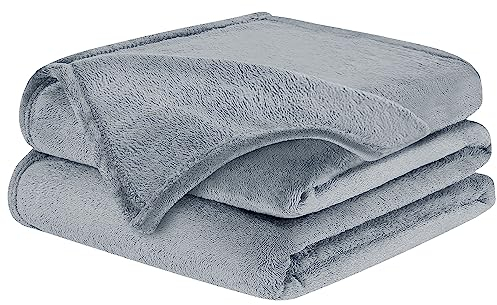 BARBONS Kuscheldecke – weiche Fleecedecke, als Tagesdecke oder Bettdecke, Wohndecke oder Sofa Überwurfdecke, Kuscheldecke flauschig, Outdoor Decke (150x200 cm - Grau)