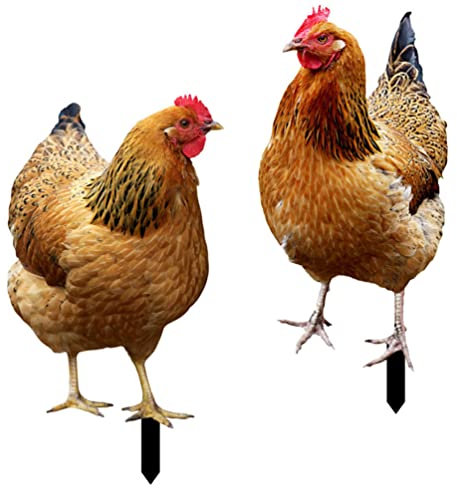 2Pcs Acrylic Garden Chicken Stakes Double Sided Lawn Animal Inserts Outdoor Decoration with Pointed Tips Durable and Easy to Install Ornamental Signs for Courtyard and Pathway