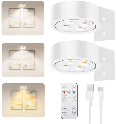 Bilderleuchte Kabellos, Dimmbare Bildbeleuchtung mit Fernbedienung & Timer, USB Aufladbar Bilderleuchte, Magnetisch LED Spot Akku für Vitrinenbeleuchtung Bildbeleuchtung Dart Beleuchtung (Weiß*2)