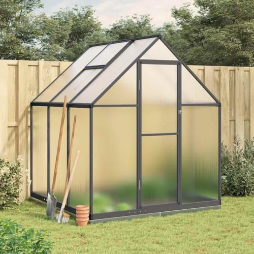 Refined Gewächshaus mit Fundamentrahmen Pflanzenhaus mit Dachrinnensystem Flügeltür Treibhaus für Pflanzen Frühbeet Anthrazit 169x169x202 cm Alu