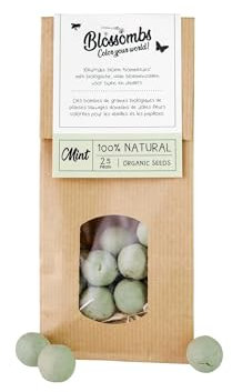 Blossombs Bombe de Graines Sachet Kraft avec 25 Graines Fleurs Sauvages - Menthe Vert - Graines de Fleurs a Semer Cadeau pour les Abeilles, Bourdons et Papillons Mélange Graines Fleurs Jardin