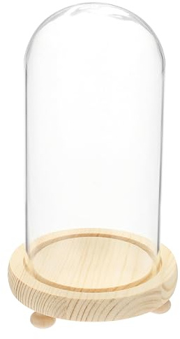 sourcing map Glasglocke, 18 x 10,9 cm, dekorative Glasglocke mit Holzsockel, Fußpolster für DIY-Blumenhandwerk, Sammlerstücke, Exemplare, Pflanzen, staubdicht
