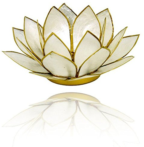 Lotus Licht Teelicht-Halter aus Capiz Muscheln in versch. Farben Ø 13.5 cm Lotus Chakra Feng Shui (Perlmut Gold)