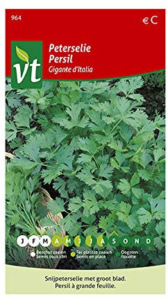 Parsley Gigante d'Italia Seeds per gram - More Aromatic Taste - 4 g - Seeds per gram: 600
