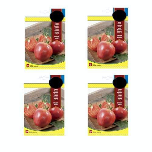 Semillas de Tomate Corazón Buey - Set 4 Unidades - Tomate para Ensaladas Semillas para Plantar en Casa