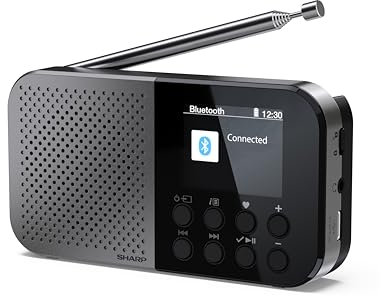 SHARP DR-P520(GY) Radio Digital Bolsillo Osaka, DAB+, DAB y FM con RDS, BT 5.3, Pantalla a color de 2, Alimentación USB-C o batería de litio integrada, Altavoz integrado, mini Jack, bloqueo de teclas