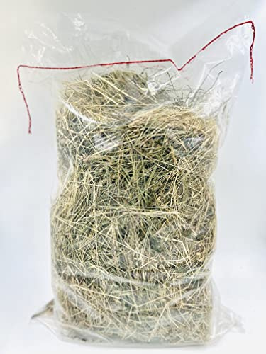 Foin de Prairie 100% Naturel – Aliment pour rongeurs, Lapins, Chevaux, chèvres – Récolté en France – Sachet 2 kg