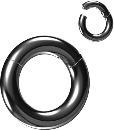NewkeepsR 316L Edelstahl Hinged Segmentring Augenbraue Conch Daith Helix Lippe Nase Ohr Rook Septum Clicker Ringe