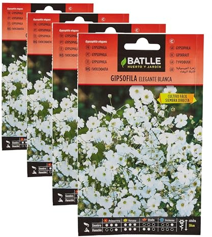 Semillas Batlle Gipsofila Elegante Bianca (Confezione da 4)
