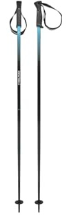 HEAD Unisex-Adult Frontside Black Speed Blu Skistöcke