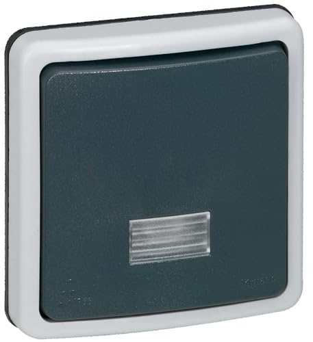 Interrupteur Ou Va-Et-Vient Étanche À Voyant 10A Plexo Ip66 Composable - Gris