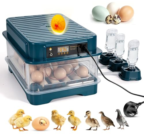 Green Dual Electric Fully Automatic Egg Incubator, 24 Egg Capacity, Auto Egg Turner, 3 Water Bottles for Automatic Humidification, Egg Candler for Infertile/Dead Eggs