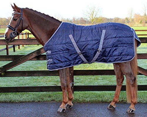 QHP Stalldecke Nylon 150g Füllung Kreuzgurte Schweiflatz Beinschnüre (115 cm, Dunkelblau)