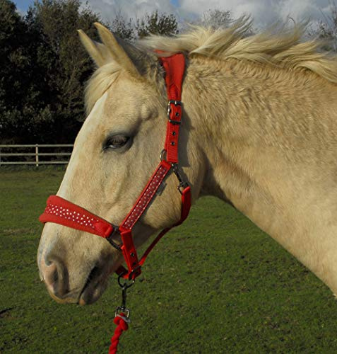 Rhinegold Star Spangled Halfter und Seil Set, Star Halfter und Seil-Set., rot, Cob